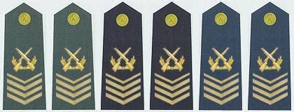军人的荣誉——军衔与勋章-国防教育网