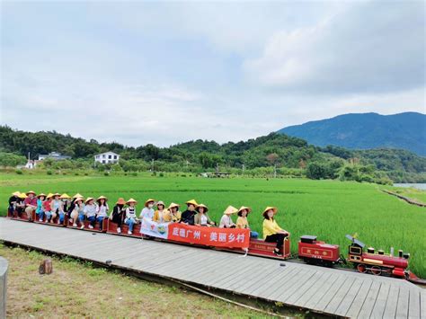 乡村游怎么玩？广州公布30条美丽乡村游黄金线路
