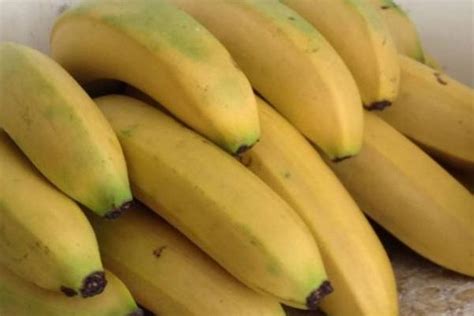 新鲜C果佳农香蕉，来自热带雨林的“一代天蕉” - 知乎
