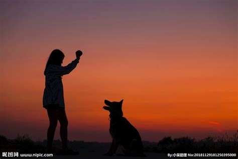 人和狗夕阳下摄影图__日常生活_人物图库_摄影图库_昵图网nipic.com