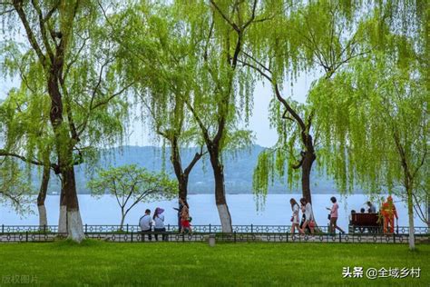 杭州西湖风光|摄影|风光|xys4313 - 原创作品 - 站酷 (ZCOOL)