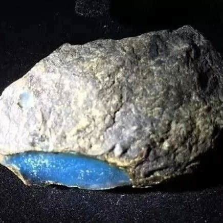 大四男生捡石头 发现世界古老鱼类新物种—新闻—科学网