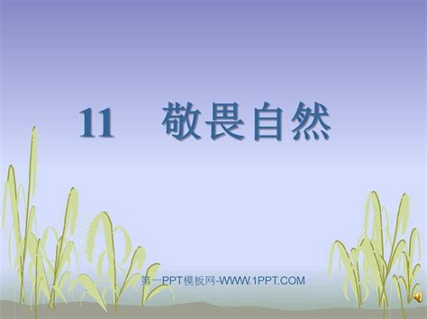 敬畏自然PPT - PPT课件推荐- 21世纪教育