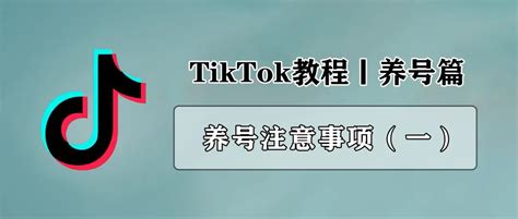 TikTok如何增加账号权重--新手养号全攻略 - 知乎