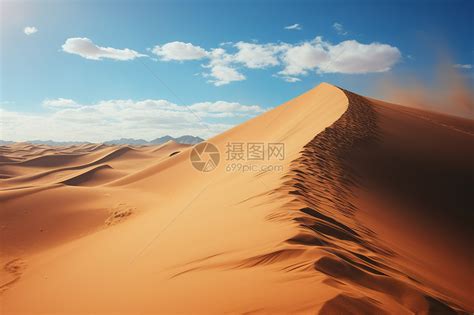 广袤无垠的草原高清图片下载-正版图片600338942-摄图网