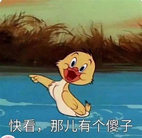 表情包(小黄鸭)图片