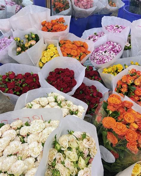 北京有哪些好的鲜花批发市场花卉市场? - 知乎