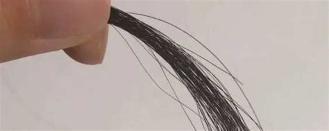头发丝的直径是多少 头发丝的直径是怎样的_知秀网