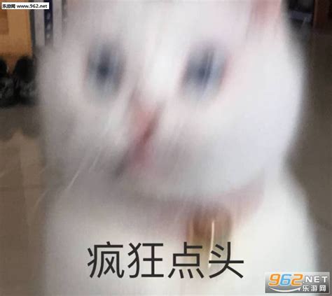 点头表情包图片