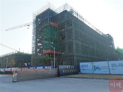 自贡国投东建长安府项目举行开工仪式