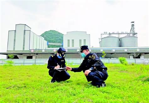 桂林开展外来入侵物种大清查-桂林生活网新闻中心