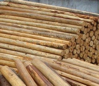 林场直发2米3米杉木杆杉杆绿化--板材原木_产品图片信息_中国木材网！