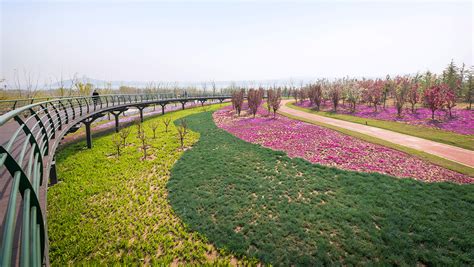 山东淄博文昌湖环湖公园规划设计 - 湿地与滨水景观 - 首家园林设计上市公司