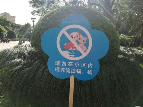 【温馨提示】请勿在小区内喂养流浪猫狗_食物