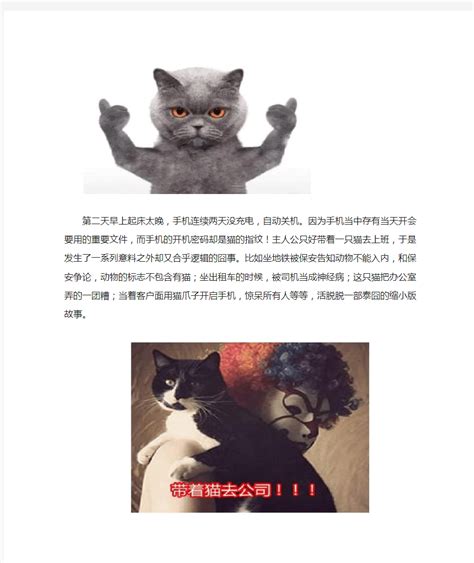 华为故事软文营销经典案例,一只猫带来千万销量的传奇 - 文档之家