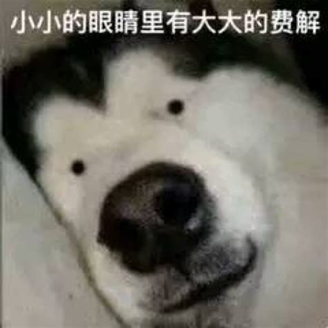 嘻嘻表情包图片