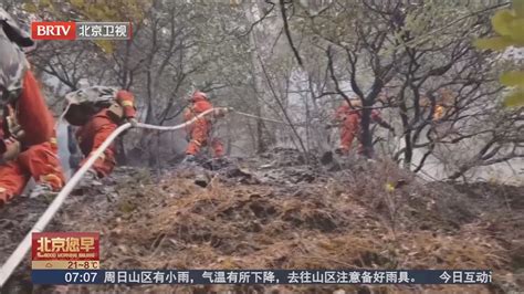 明火全部扑灭 四川雅江县麻郎措镇森林火灾原因正在调查 - 关注森林