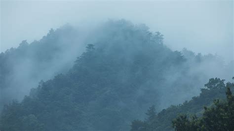 空山新雨后 - 自然风光 承德摄影家网 - 承德热河摄影家协会