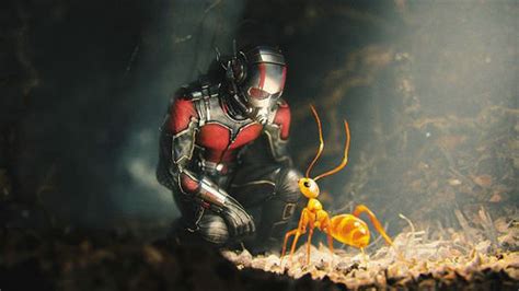 最强反派登场 电影《蚁人3》是漫威列电影再次飞跃的敲门砖？ - 华娱网