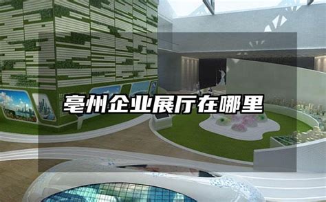 亳州国际博览中心-御猫亳州展览工厂案例精彩呈现-企业官网