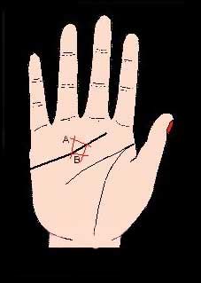 女人手掌的三条线正确图解 手掌的三条线正确图解_手相分析_拓易生活网