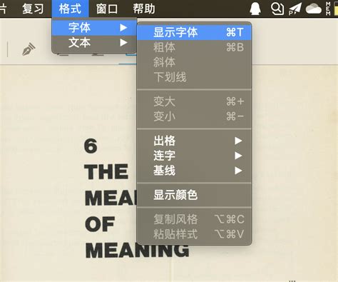 Mac 文本框字体大小无法调整 - 场景建议 - MarginNote 中文社区