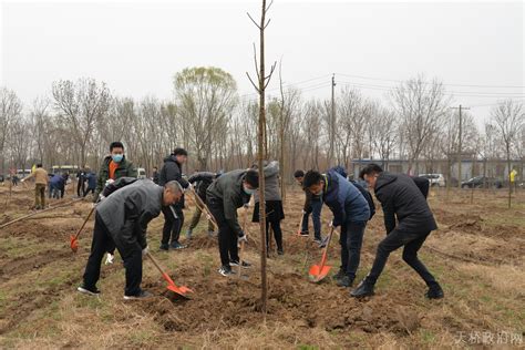 济南市天桥区党委 要闻 区政协组织开展“政协林”植树活动