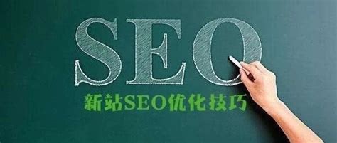 seo如何提高排名（网站排名优化的方法）-8848SEO