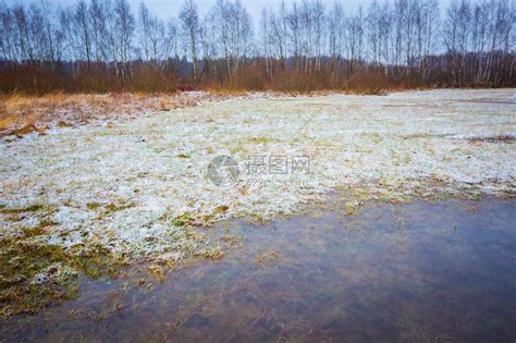 温冬草地和冷冻水波兰天气恶高清图片下载-正版图片507342489-摄图网