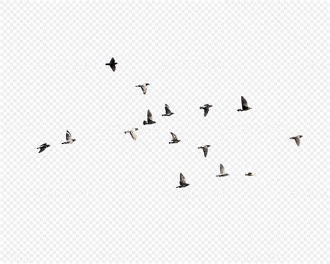 飞鸟群素材-飞鸟群图片-飞鸟群素材图片下载-觅知网