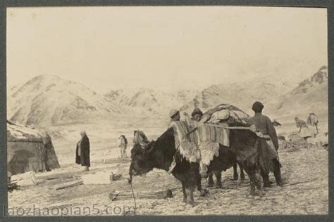 八十年代新疆老照片，祖国的新疆一直都很美