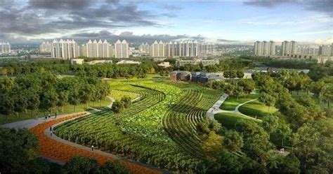 都市型现代农业是什么?都市农业如何发展?_北京山合水易规划设计院