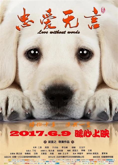 《犬之岛》曝特辑 向幕后功臣狗狗们“致敬” - 电影 - 子彦娱乐 - ziyanent.com.cn