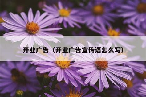 活动宣传语怎么写吸引人 - 活动策划 - 微媒数字营销