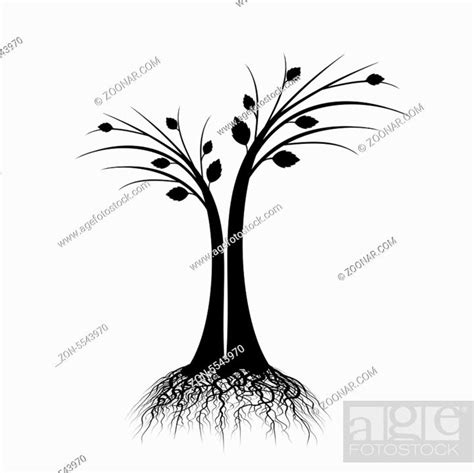art tree silhouette isolated on white background, Stock Photo, Picture ...