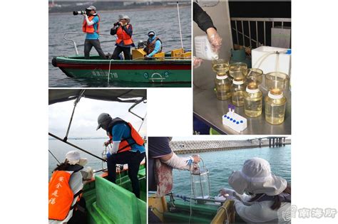 南海所利用环境DNA（eDNA）技术揭示深圳大鹏湾布氏鲸身份和食物资源信息-南海水产研究所