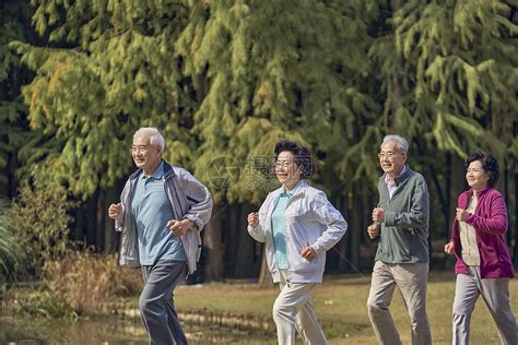 老年人早晨公园一起跑步高清图片下载-正版图片501714881-摄图网