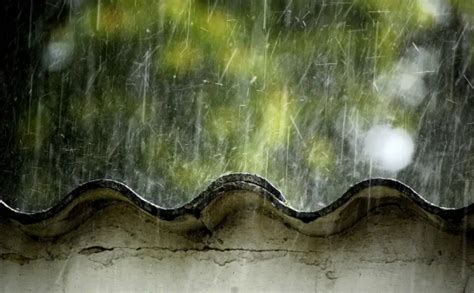 河南：今年“三秋”雨水多