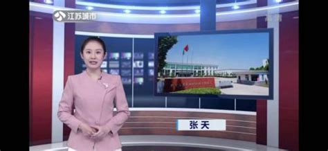 江苏电视台“江苏直通车”栏目采访报道高益新材料_TOM资讯