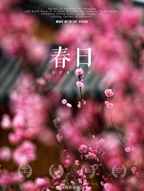 『流年』行走在春天里的花（散文）_江山文学网