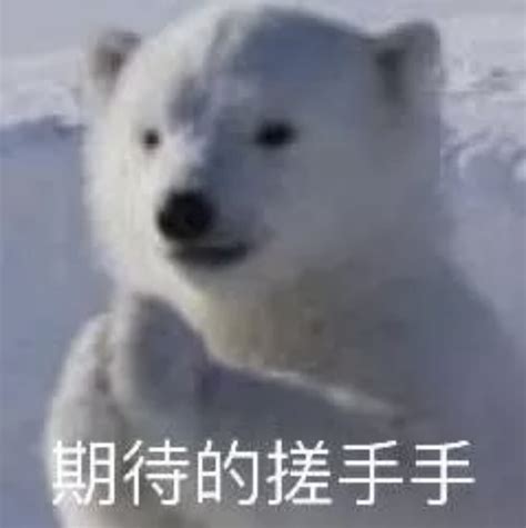 给你暖暖手 表情包图片 给你暖暖手 表情包图片
