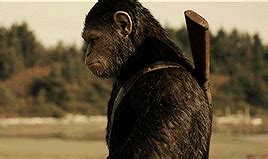《猩球崛起4》首曝宣传图，凯撒精神永存，人类终将输给猩猩__财经头条