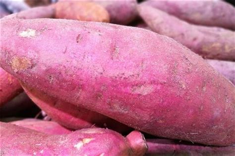 山芋红薯地瓜的区别_山芋、红薯和地瓜有什么不同-生活百科-聚餐网