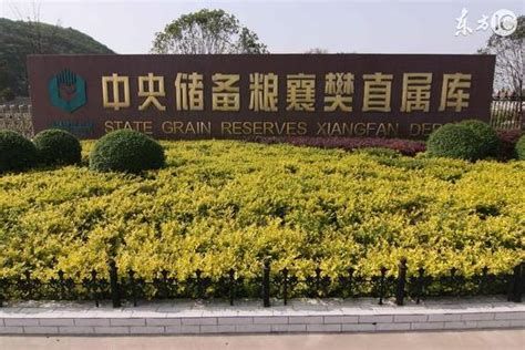 8月18日，华中分公司河南信阳中储粮项目正式开工-中建二局四公司