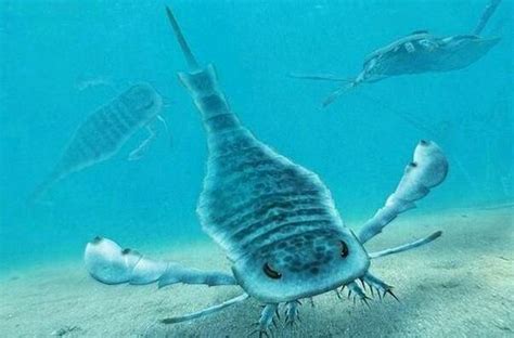 史前十大最强悍的海洋生物：邓氏鱼屈居第三，巨齿鲨独占鳌头_巴拉排行榜