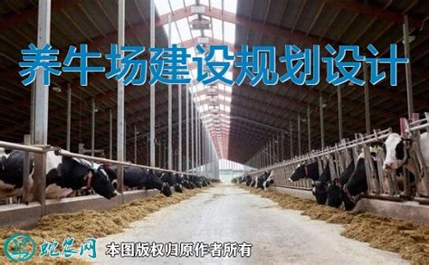 免费养殖场设计、奶牛场设计、肉牛场设计\牛舍图纸\图纸设计价格_厂家_图片 -Daxuwang大畜网