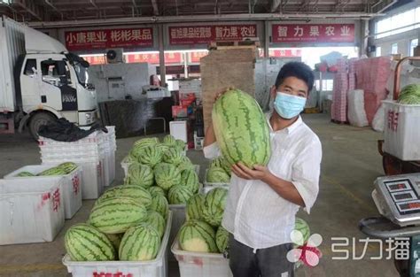 [京欣西瓜批发]精品西瓜大量有货需要的联系，包甜、保熟价格0.85元/斤 - 一亩田