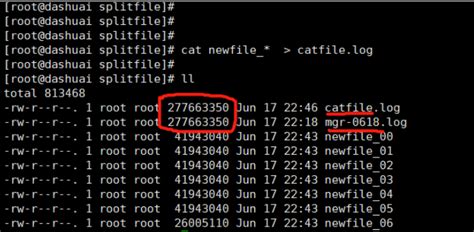 Linux 下 4 种实时监控日志文件的方法，总有一种适合你_51CTO博客_linux实时监控日志命令