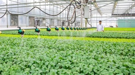【我为群众办实事】新疆农业大学继续教育学院在沙雅县开展基层农技人员培训