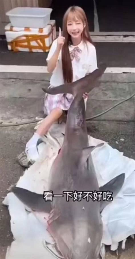 网红拍摄食用大白鲨吃播被查，律师：若她真不知情或不承担刑事责任_手机新浪网